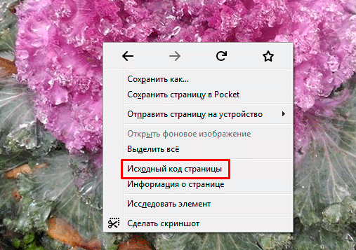 исходный код страницы
