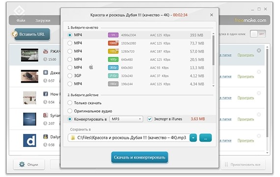 Freemake Video Downloader