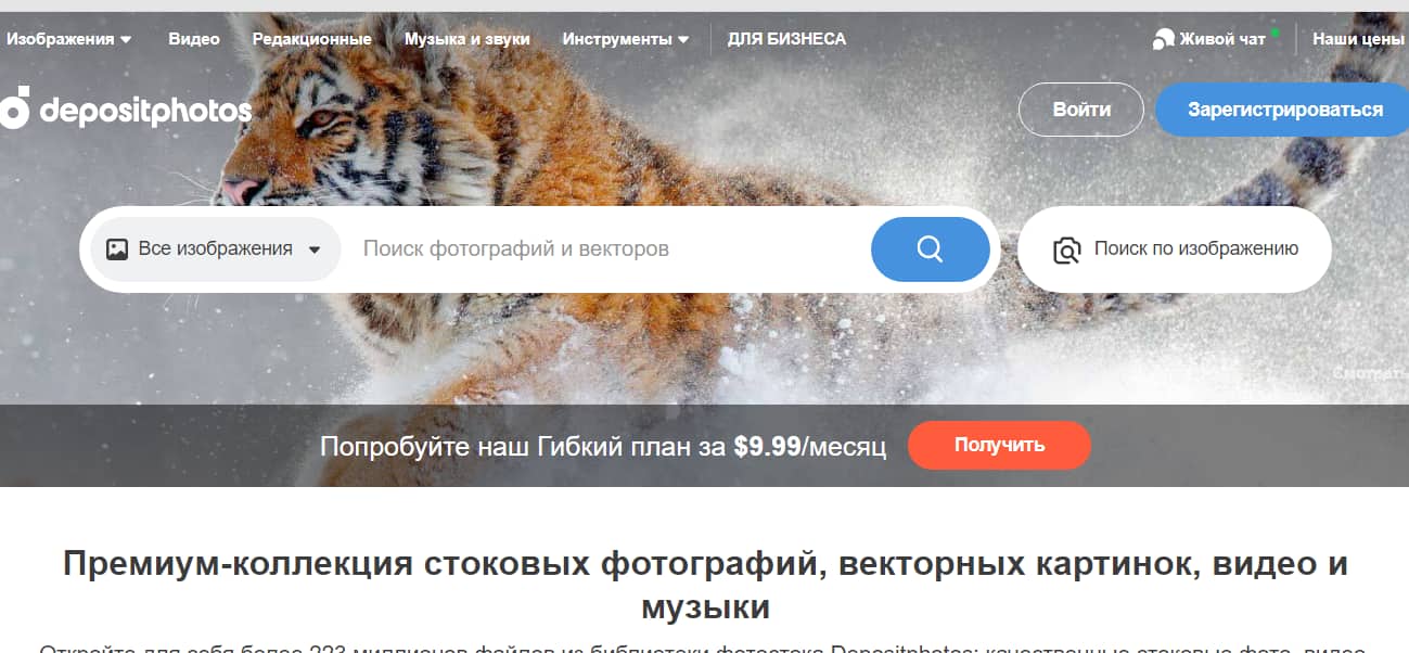 Бесплатные фотостоки - более 30 фотостоков для дизайнеров